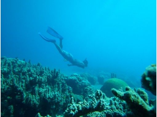 [浮潜课程]甚至对于初学者来说，都是一个动人的海底世界！浮潜之旅与安全培训の画像