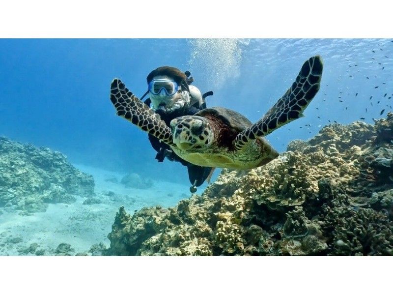 【北海道・SUP体験】透明度の高い支笏湖の湖面をクルージング！SUP体験（半日コース）の画像