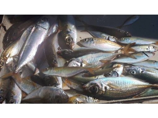 東京 羽田 1分鐘共享船 無需餵食 Aji炸彈釣魚飛行 初學者 婦女 兒童 歡迎 Activityjapan 東京 羽田 1分鐘共享船 無需餵食 Aji炸彈釣魚飛行 初學者 婦女 兒童 歡迎 Activityjapan