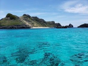 [小笠原海上一日遊]登陸南島，尋找海豚和鯨魚，浮潛都已準備就緒！計劃詳情の画像