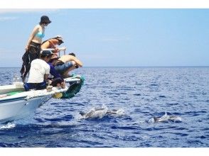 【東京・小笠原諸島】ホエールウオッチング(1日コース)の画像