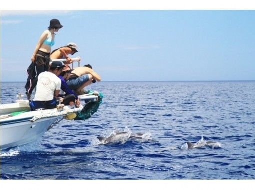 【東京・小笠原諸島】ホエールウオッチング～陸からの観察も！（1日コース）ご家族・お仲間で楽しめます！の画像
