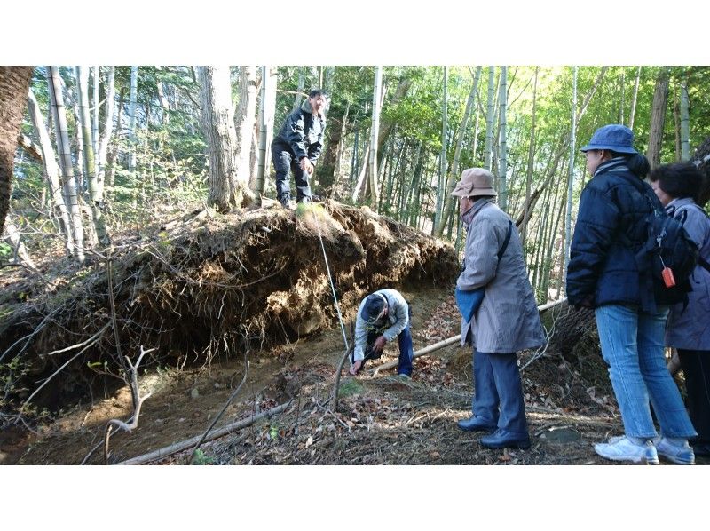 【福島県・いわき】12/1出発限定　もみじのトンネル龍神峡と震災遺構井戸沢断層を知る　バスツアー