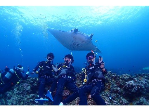 AOWライセンス講習２日間 in 石垣島【ウミガメ、マンタに会えるかも！】高画質の写真・動画無料プレゼントの画像