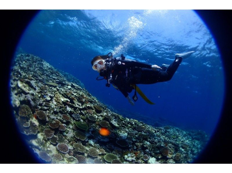 【沖縄・石垣島】AOWライセンス取得コース2日間★友達・カップル割引有★ダイビングのスキルアップに♬