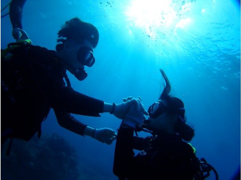 西海岸ビーチダイビング（その日の1番キレイな海をご案内！）
