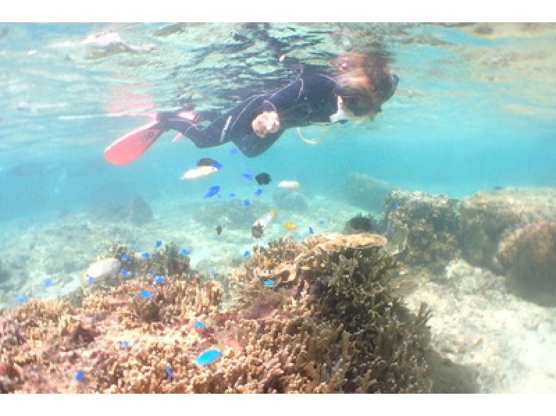 [โอกินาว่าItoman] เด็ก ๆ ก็สามารถสนุกได้! ถึงจุดโดยเรือ!การดำน้ำตื้น(Snorkeling)ง่ายの紹介画像