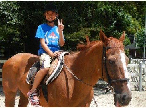 【徳島県・那賀町】お子様ご参加OK！大自然の中で家族そろって観光乗馬体験の画像