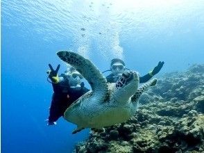 ウィンターセール実施中【沖縄・青の洞窟・体験ダイビング】『高確率』楽々ボートで青の洞窟へ☆ 女性に大人気プライベートプラン☆コミコミ価格☆の画像