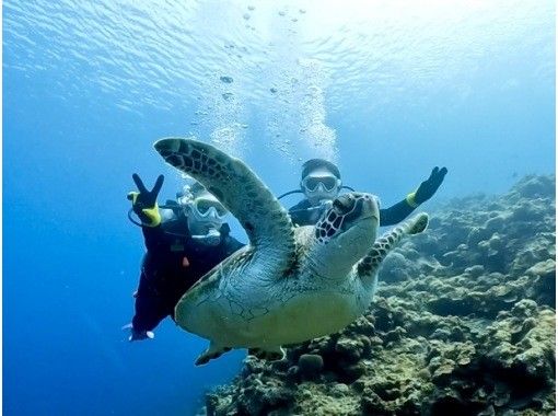 【沖縄本島・青の洞窟・貸切体験ダイビング】『高確率』ボートで青の洞窟へ★持ち物は水着だけ★当日予約OK★お1人様大歓迎★バナナボート有★の画像