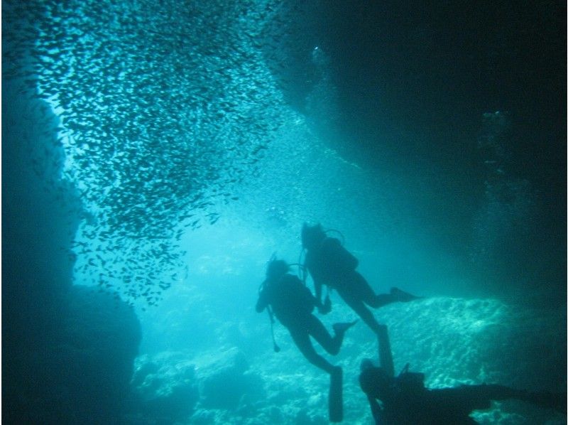 【カップル限定】青の洞窟体験ダイビング〔完全貸切〕☆水中写真、魚のエサ無料☆