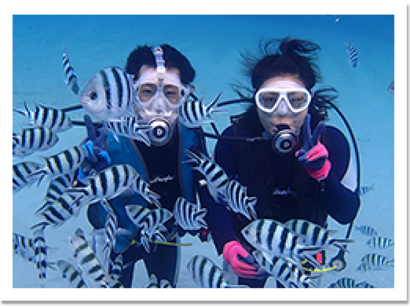 [Tokyo Ogasawara] Let's enjoy the sea of Ogasawara easily! Experience Diving(half-day course)の紹介画像