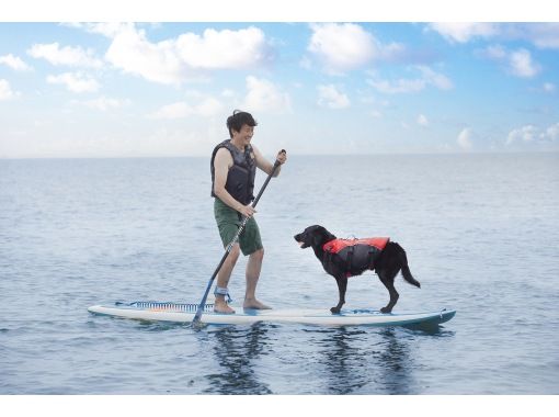 【滋賀・大津】びわ湖・SUP体験　愛犬と一緒にSUP体験＆クルージング！の画像