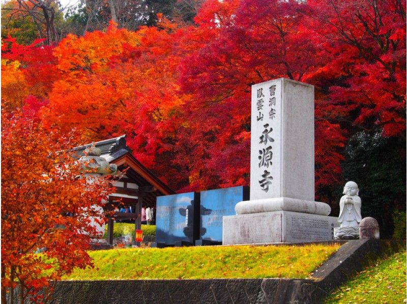 奥久慈のもみじ寺＆夕日に映える岩礁に建つ大鳥居　絶景寺社めぐり～名物奥久慈しゃも弁当付【15291】