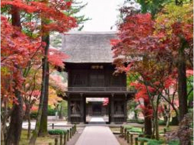 「平林寺」＆「妻沼聖天歓喜院」ガイド付き見学＆「五千頭の龍が昇る聖天宮」【15306】