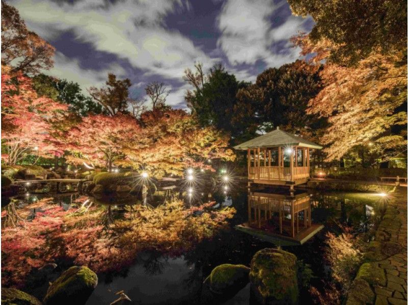 「大田黒公園」紅葉ライトアップ観賞と「肥後細川庭園」散策＆明治神宮ミュージアム見学【15252】