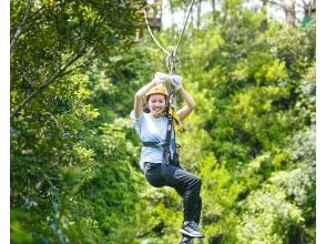 [Okinawa, Northern Yanbaru, Higashi Village] 5 zipline adventures ★ Guided! Elementary school students can participate as long as they weigh 25kg or more! Glide through the Yanbaru forest in the air!の画像