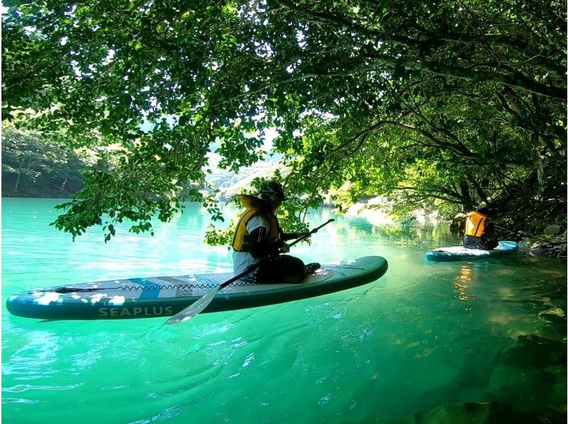 秘境の川辺ブルー サップツーリング【GoPro写真動画プレゼント♪】