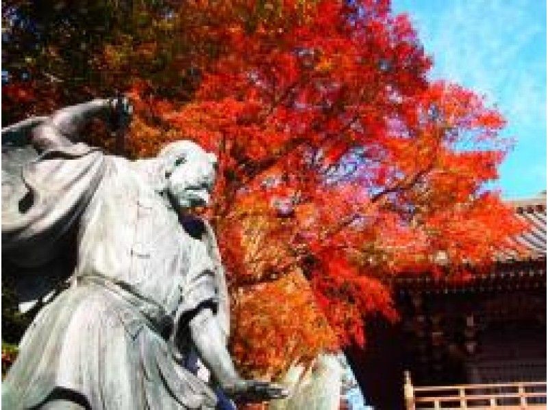 高尾山パノラマ紅葉散策＆薬王院御護摩体験バスツアー　名店うかい竹亭の特製懐石御膳付き【15255】