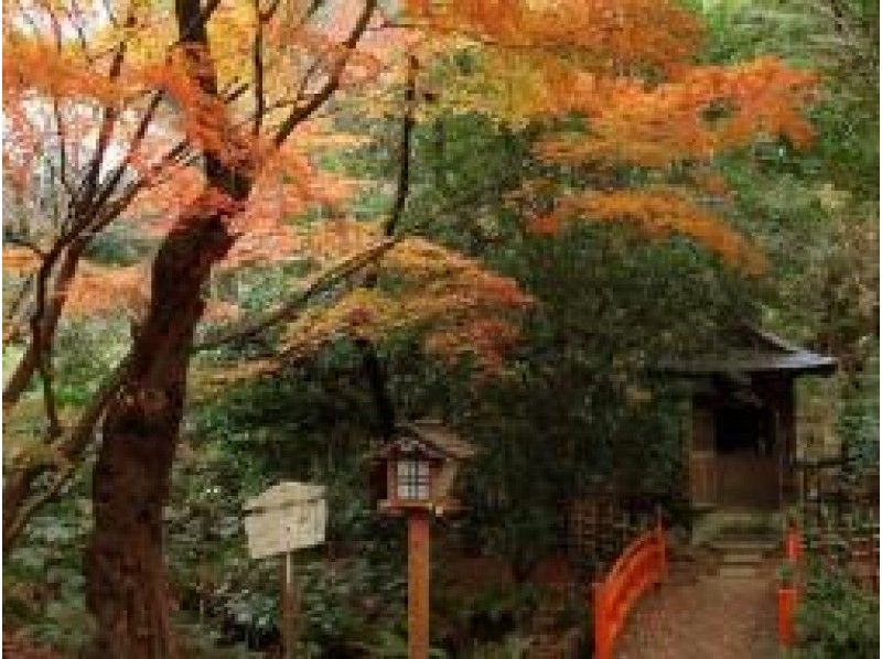 まるで都心の京都「九品仏浄真寺」＆豪徳寺と都会のオアシス等々力渓谷　絶景紅葉狩り【15326】