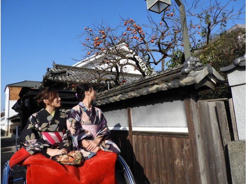 [Tokushima/ Mima City] Time slip to the Edo period! Rickshaw experience in the town of Udatsu (20 minutes course)の紹介画像