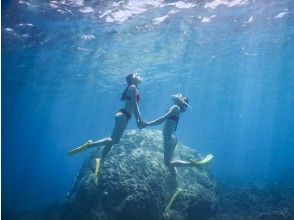 ぷくぷくの予約 アクセス 営業時間 アクティビティジャパン