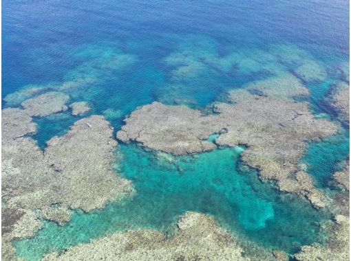 【沖縄・石垣島】冬でも泳ぎたい！サンゴの森へビーチシュノーケリングの画像