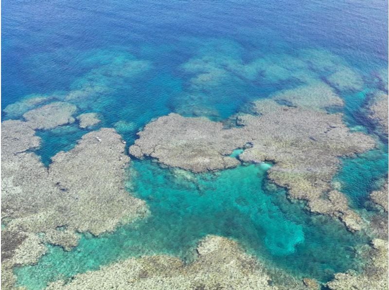 【沖縄・石垣島】冬でも泳ぎたい！サンゴの森へビーチシュノーケリング