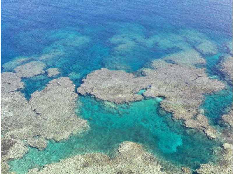 【沖縄・石垣島】冬でも泳ぎたい！サンゴの森へビーチシュノーケリングの紹介画像