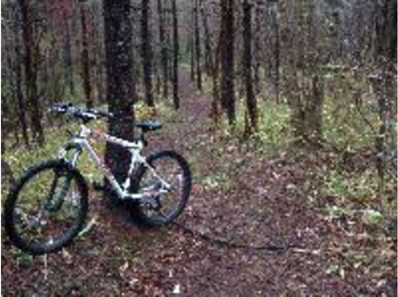 【MTB】 Mountain Bike Guided Tour in Nasu Highland Fukayama Dam Course  Activity Japan