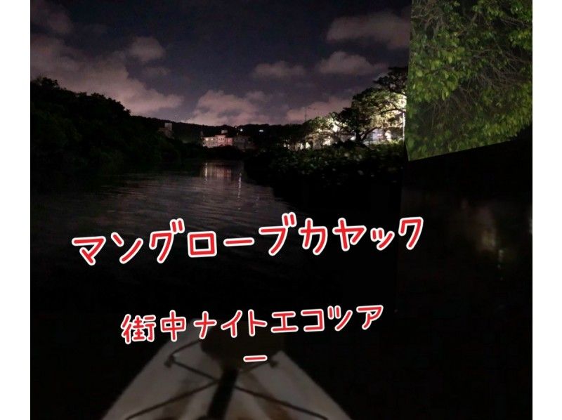 街中マングローブ カヤックでナイトエコツアー