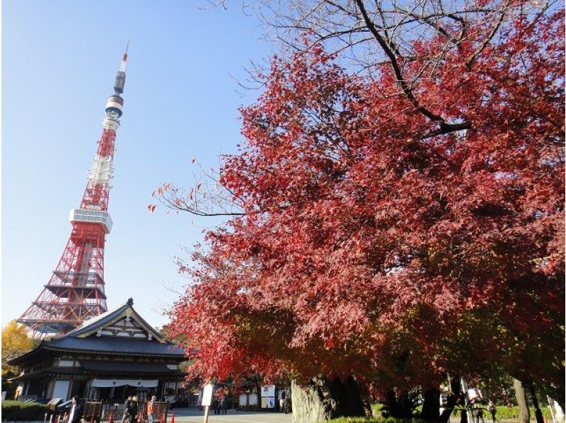 「皇居・大嘗宮」特別公開＆「東京　芝　とうふ屋うかい」のご昼食付バスツアー【15545】