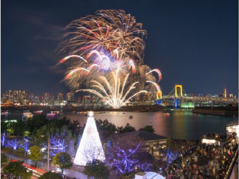 水陸両用バス東京湾クルーズ＆豊洲市場内部見学＆レストラン・テラス席での花火観覧プラン【15484】