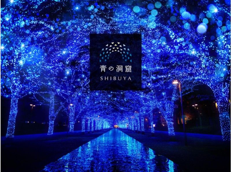 隅田川サンセットクルーズ＆都内クリスマスイルミネーション5景めぐりバスツアー【15520】