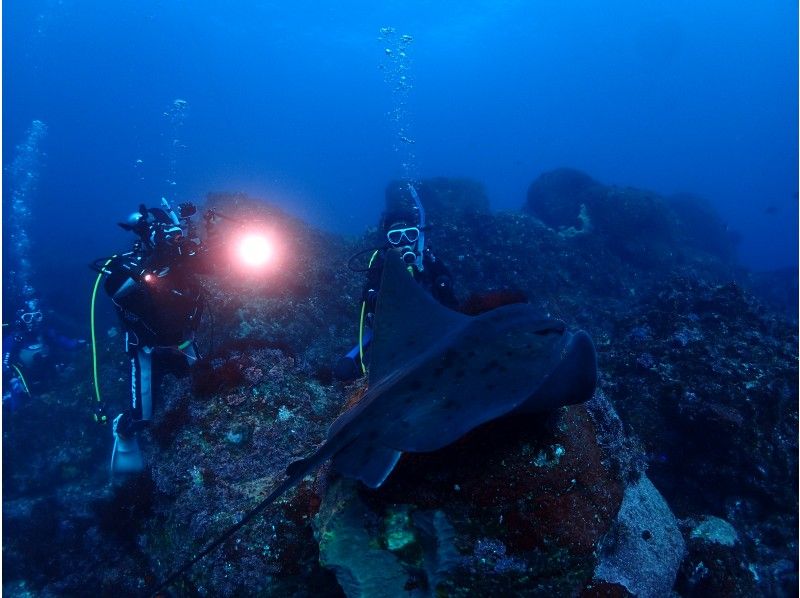 2020年4月までの期間限定　レンタル　送迎無料　熱海発着　東伊豆ボートダイビング