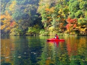 [Tokyo, Okutama] Lake Shiramaru, Autumn Maple Leaf Kayaking