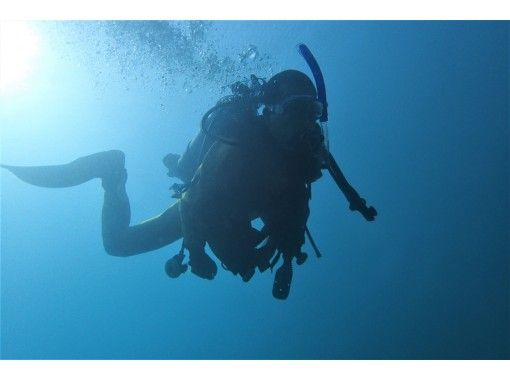 [三重/津]这是第一次学习深潜！开放水域潜水员课程の画像