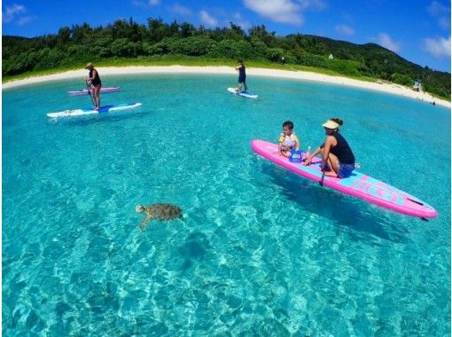 [Okinawa / Zamami] Beginners are welcome! Perfect measures against corona! SUP & Sea Turtle Snorkel Course (2h) Photo Present!の画像