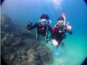 ★ [Kumamoto/Amakusa] [Held from 1 person] Experience diving tour by boat ~ Ushibuka, the southernmost point of Amakusa ★ Free video gift