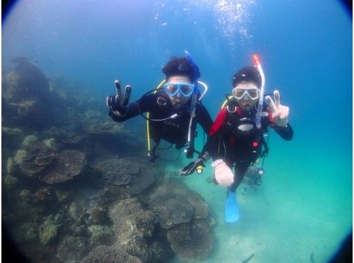 ★ [Kumamoto/Amakusa] [Held from 1 person] Experience diving tour by boat ~ Ushibuka, the southernmost point of Amakusa ★ Free video giftの画像