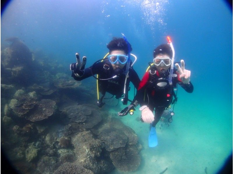 ★ [Kumamoto/Amakusa] [Held from 1 person] Experience diving tour by boat ~ Ushibuka, the southernmost point of Amakusa ★ Free video giftの紹介画像