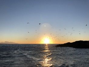 小樽藍洞藍寶石海上日落遊輪僅限夏季の画像