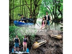 【石垣島】学生応援価格‼️不思議な森マングローブをカヤック/sup体験＆上陸し植物や生き物を知るジャングル冒険ツアー❗️写真&bull;動画無料！