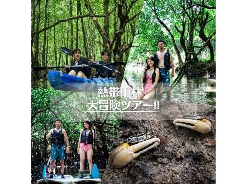 【石垣島】学生応援価格‼️不思議な森マングローブをカヤック/sup体験＆上陸し植物や生き物を知るジャングル冒険ツアー❗️写真&bull;動画無料！の画像