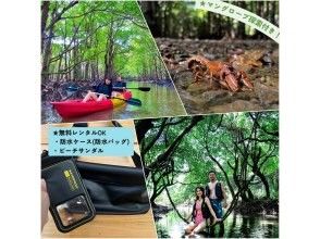 【石垣島】学生応援価格‼️不思議な森マングローブをカヤック/sup体験＆上陸し植物や生き物を知るジャングル冒険ツアー❗️写真&bull;動画無料！