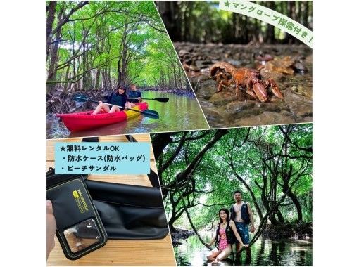 【石垣島】学生応援価格‼️不思議な森マングローブをカヤック/sup体験＆上陸し植物や生き物を知るジャングル冒険ツアー❗️写真&bull;動画無料！の画像