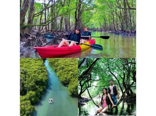 【石垣島•大人気スポット】熱帯雨林の大自然を颯爽♪不思議な森マングローブをSUPorカヤック体験‼️上陸探索付き‼️当日予約OK‼️の画像