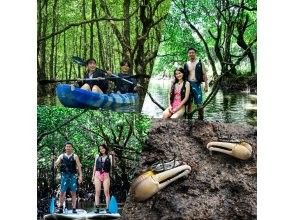 【石垣島】学生応援価格‼️不思議な森マングローブをカヤック/sup体験＆上陸し植物や生き物を知るジャングル冒険ツアー❗️写真&bull;動画無料！