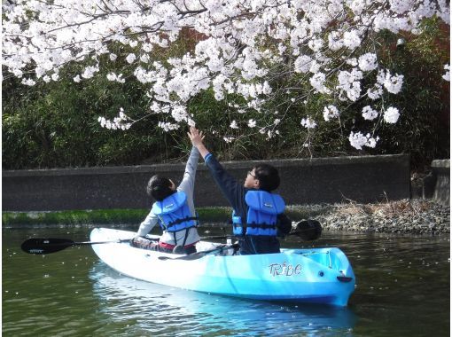 [Fukui/Wakasa] "Spring Kayak" Cherry blossom viewing on the lake! Mikata Goko Course [2 hours] の画像