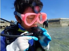 【沖縄・宮古島】新たな世界へご招待！ビーチ体験ダイビング！！水中カメラのレンタル無料！！
